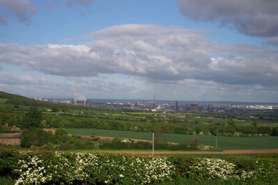 Mbro100.JPG