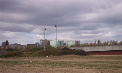Mbro101.JPG