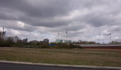 Mbro105.JPG