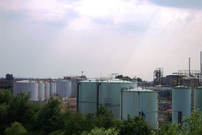 Mbro107.JPG