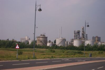Mbro71.JPG
