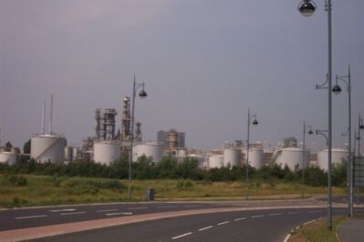 Mbro73.JPG