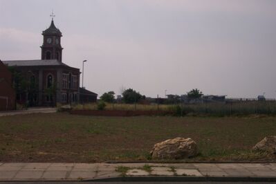 Mbro75.JPG
