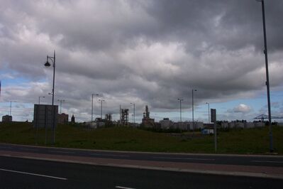Mbro85.JPG