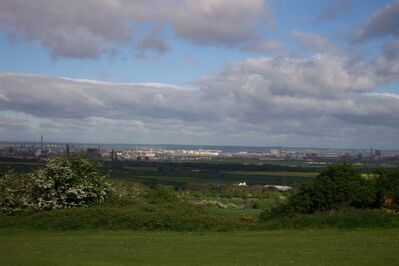 Mbro92.JPG