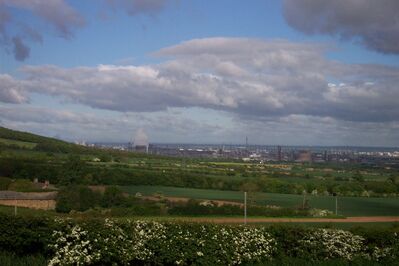Mbro99.JPG