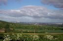 Mbro100.JPG