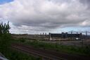 Mbro80.JPG