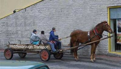 mbro_transport.jpg
