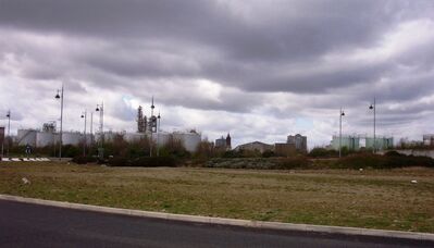 Mbro104.JPG