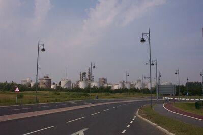 Mbro74.JPG