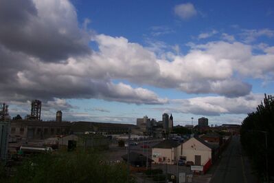 Mbro82.JPG