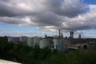 Mbro83.JPG