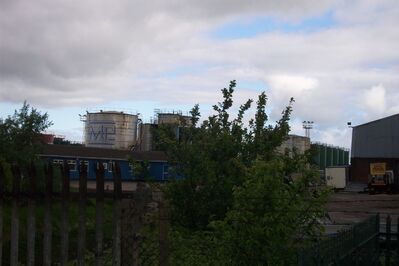 Mbro90.JPG