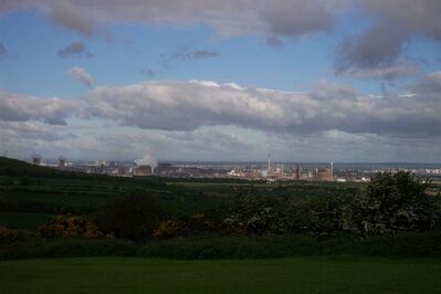 Mbro95.JPG