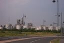 Mbro73.JPG