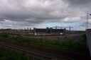 Mbro79.JPG