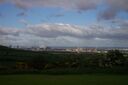 Mbro95.JPG