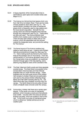 Acklam_Hall_Conservation_Plan5B15D_Page_14.jpg