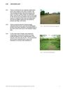 Acklam_Hall_Conservation_Plan5B15D_Page_09.jpg